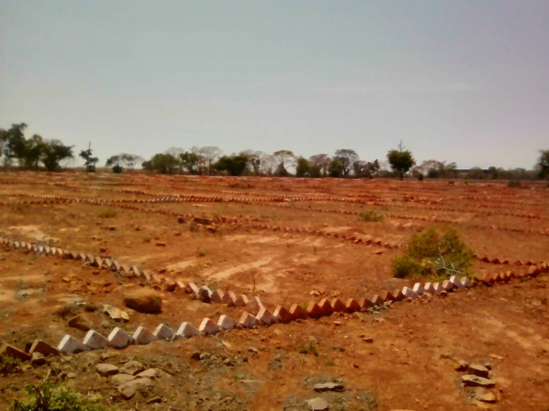 SHINECITY GREEN HOMES