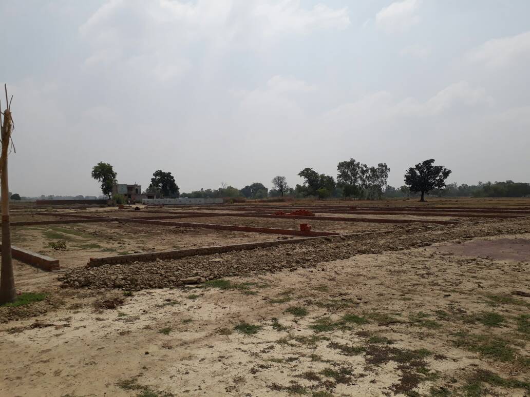 SHINECITY GREEN HOMES