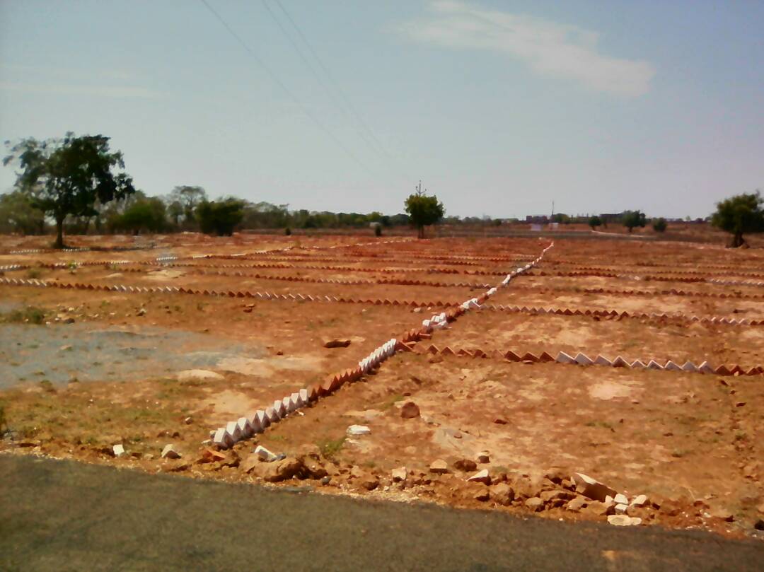 SHINECITY GREEN HOMES