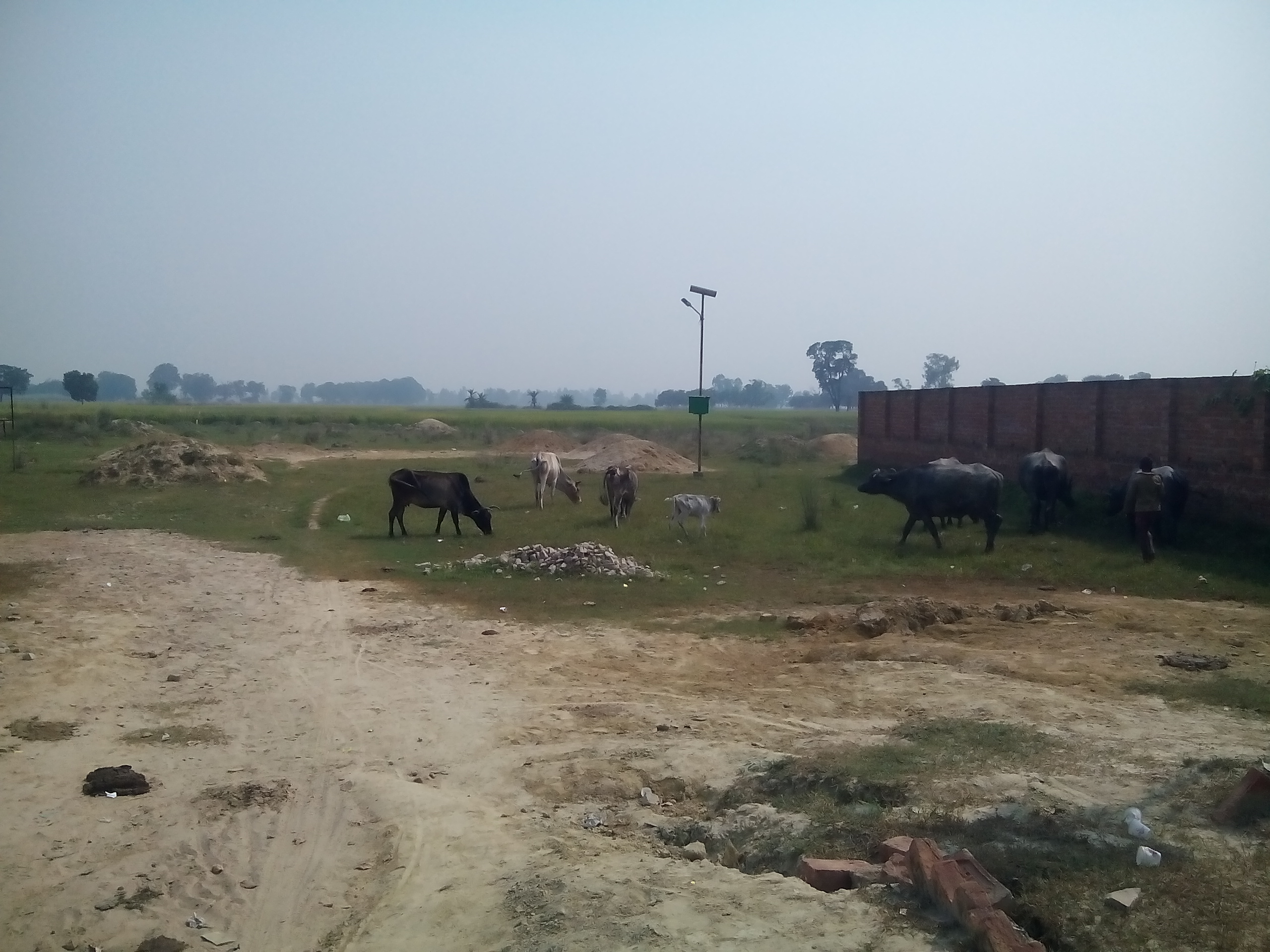 SHINECITY DREAM HOMES