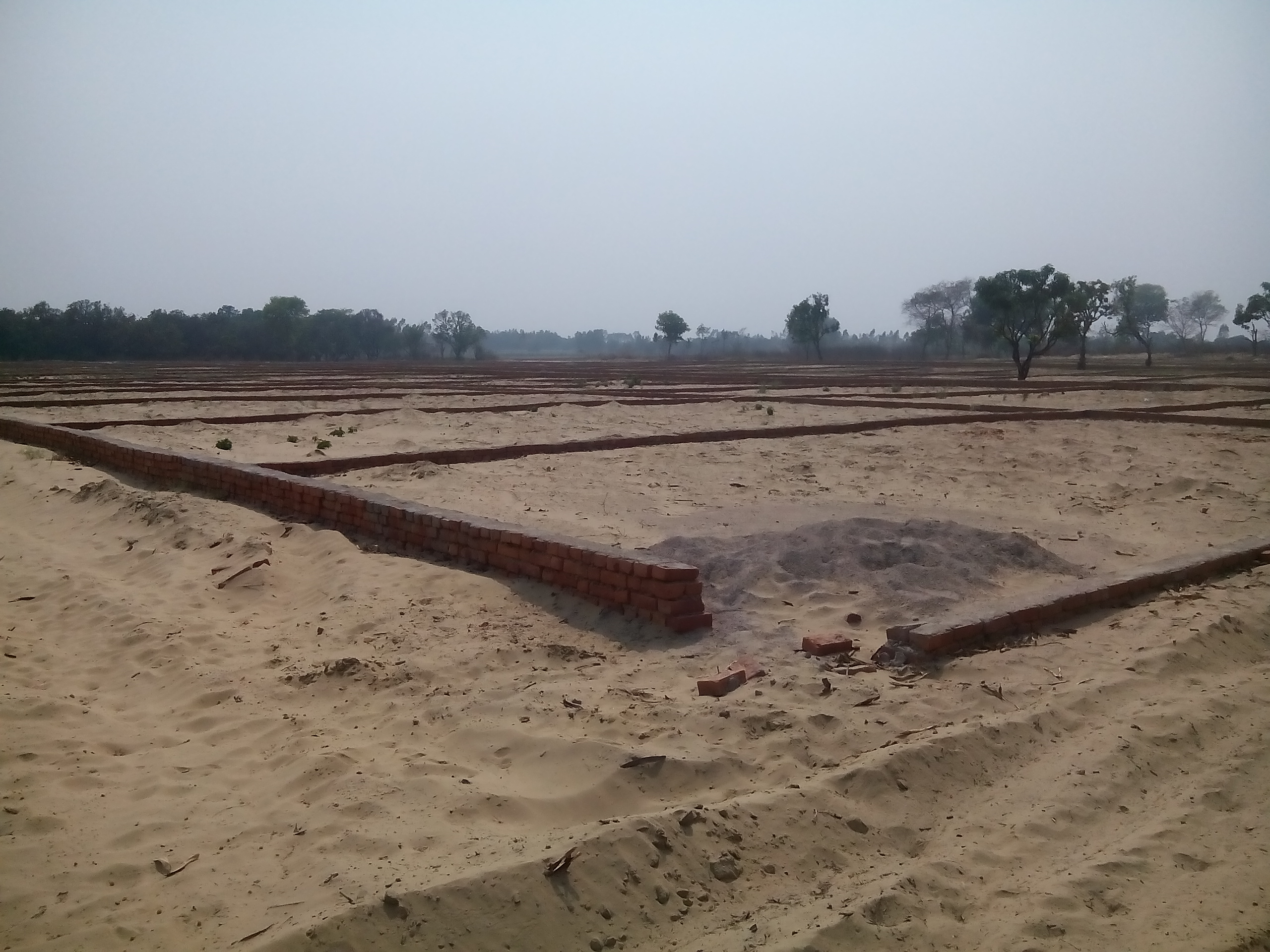 SHINECITY DREAM HOMES