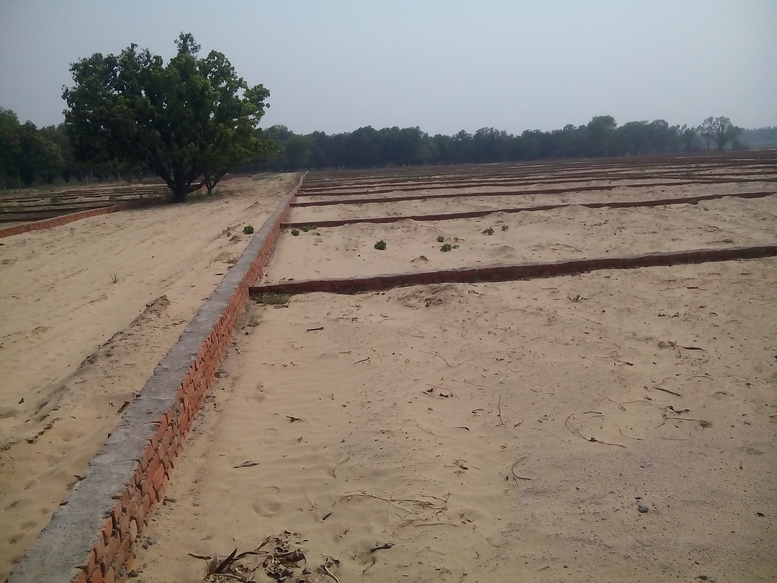 SHINECITY DREAM HOMES