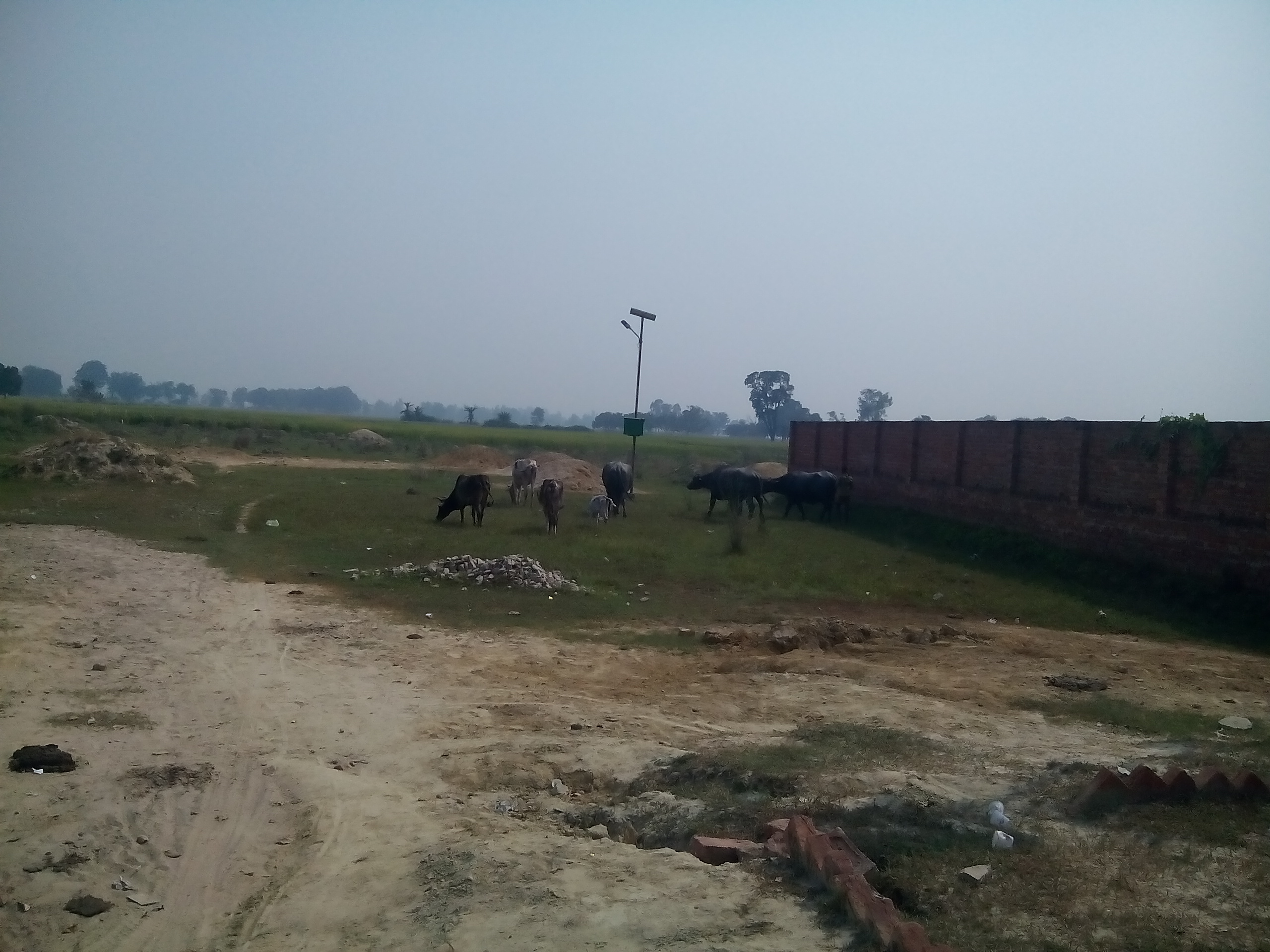 SHINECITY DREAM HOMES