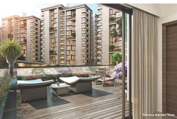 maple tree garden homes