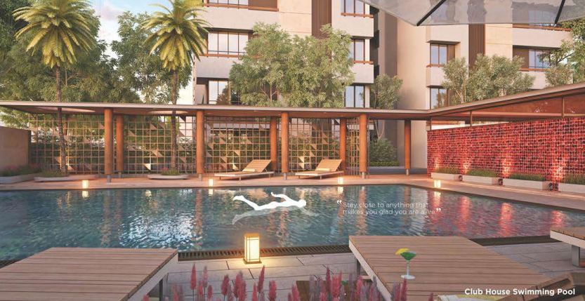 maple tree garden homes