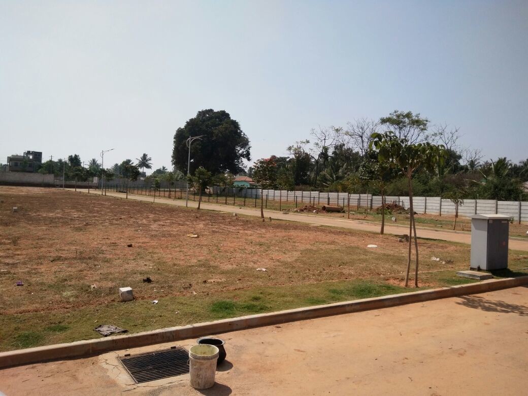 Mahalakshmi Paradiso