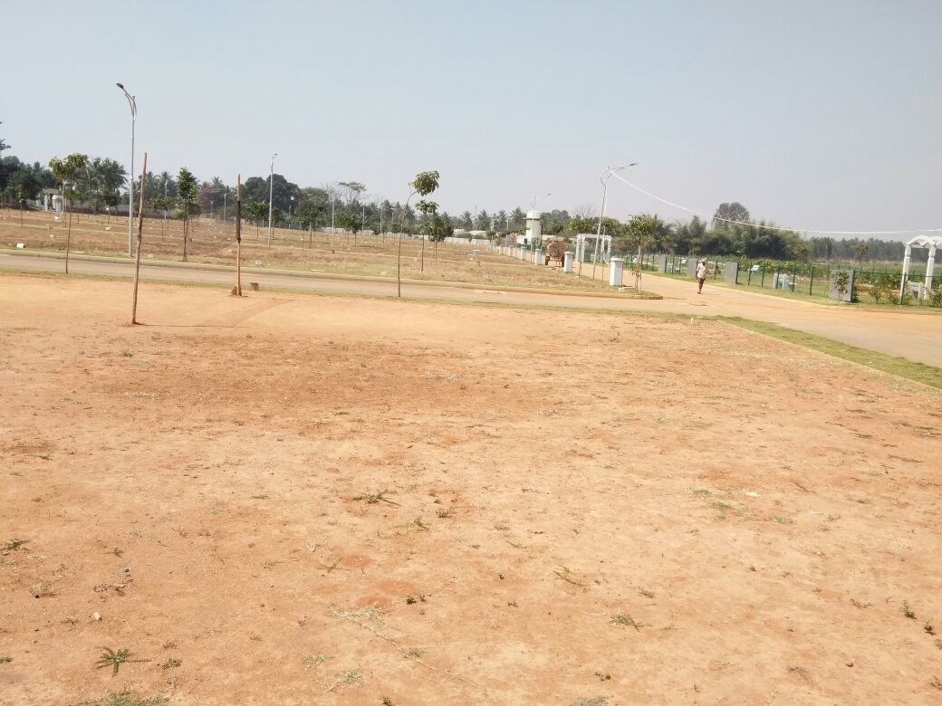 Mahalakshmi Paradiso