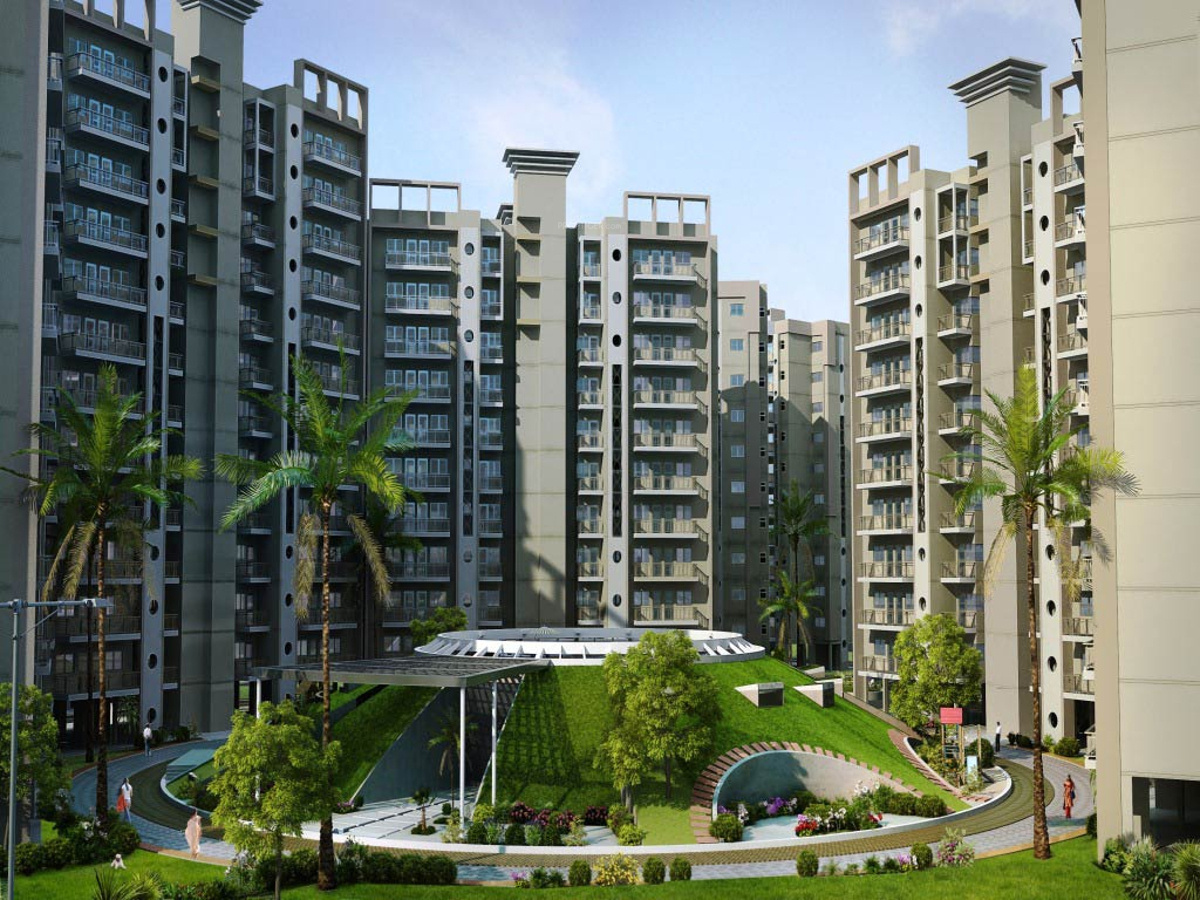 Orris Aster Court Premier