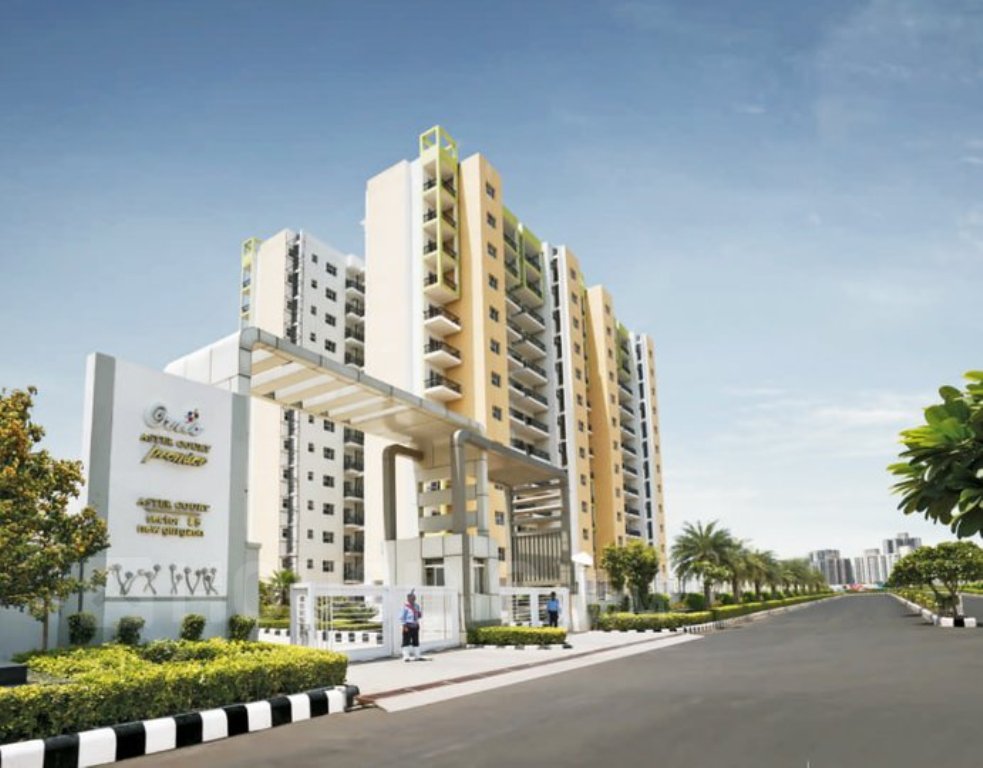 Orris Aster Court Premier