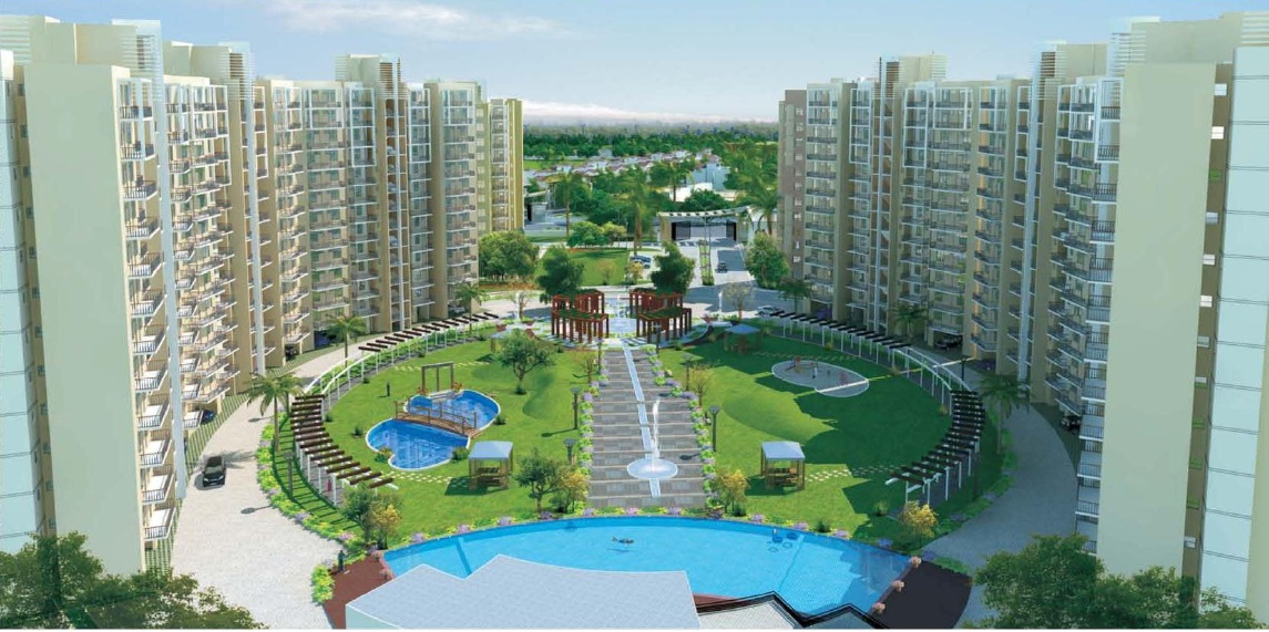 Orris Aster Court Premier