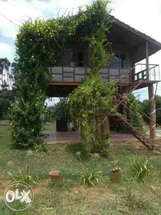 Vishwas Silicon gateway