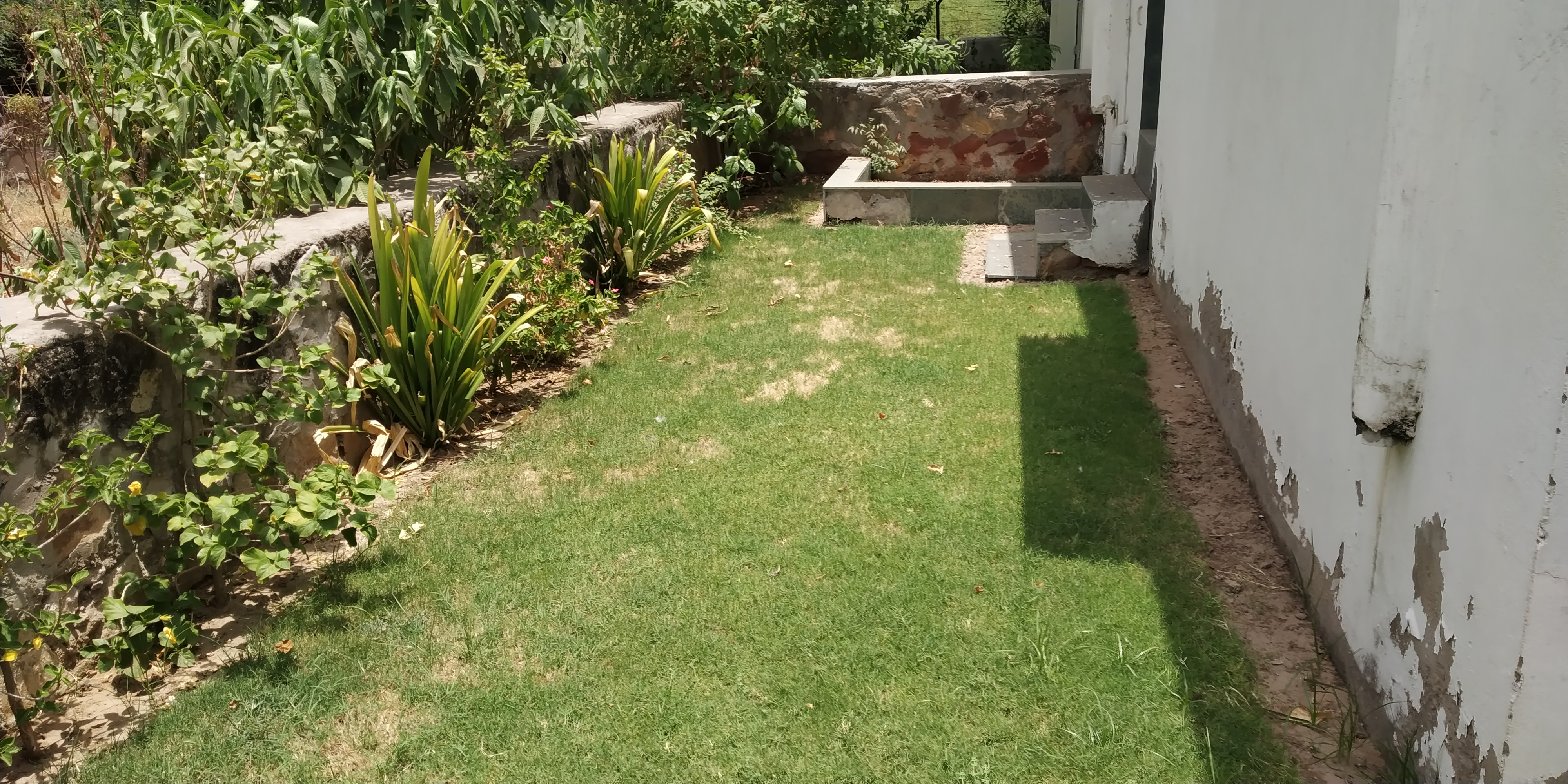 Siddhivinayak greens