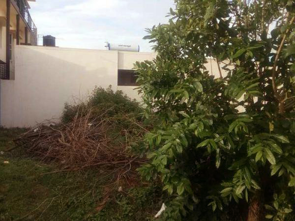 BDA Residential Plot