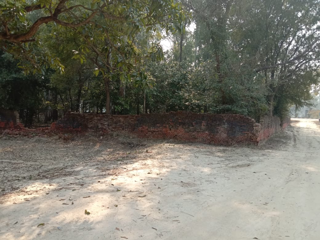 Urbandoor edenGarden