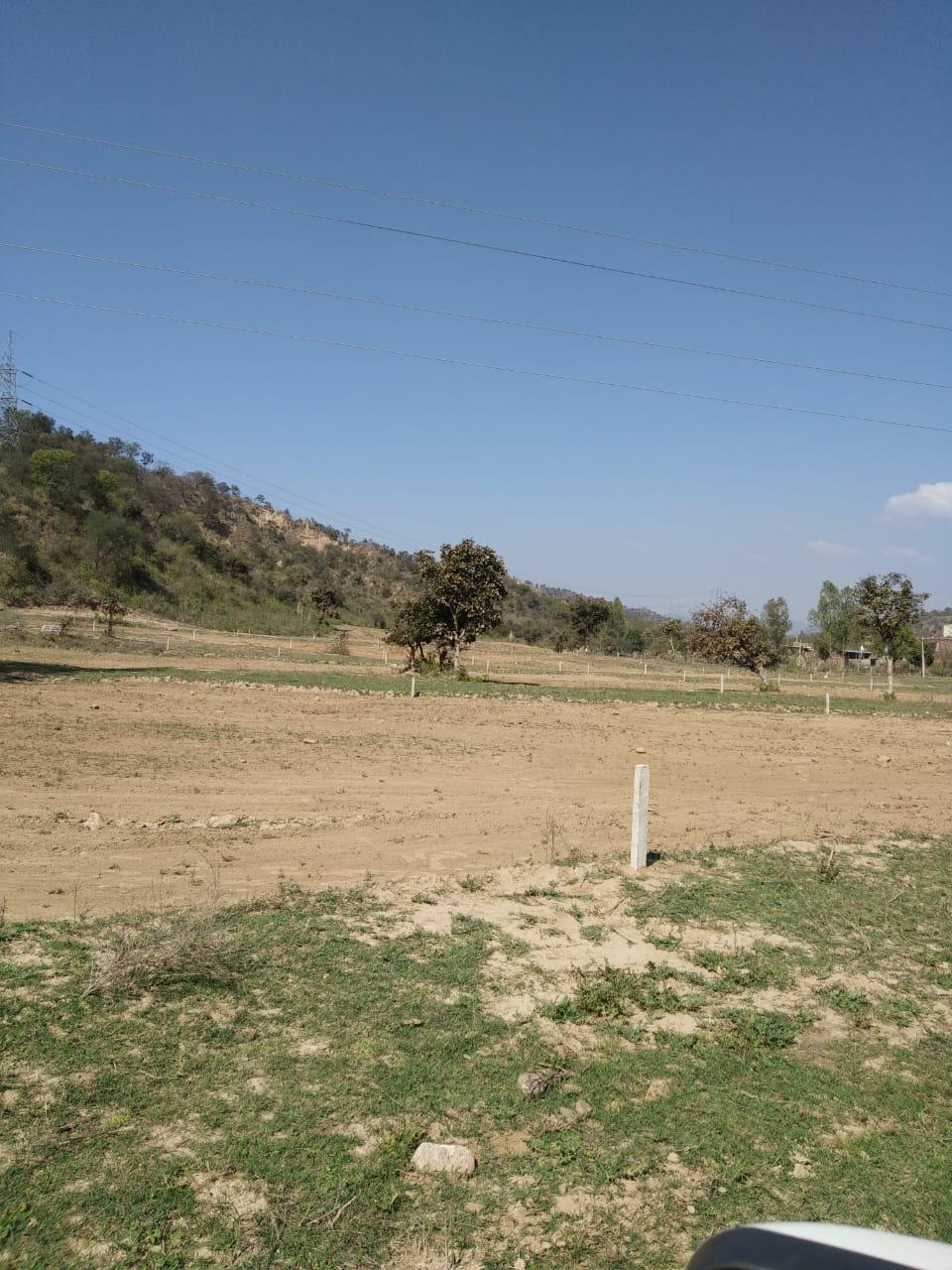 imperial golf greens nayagaon