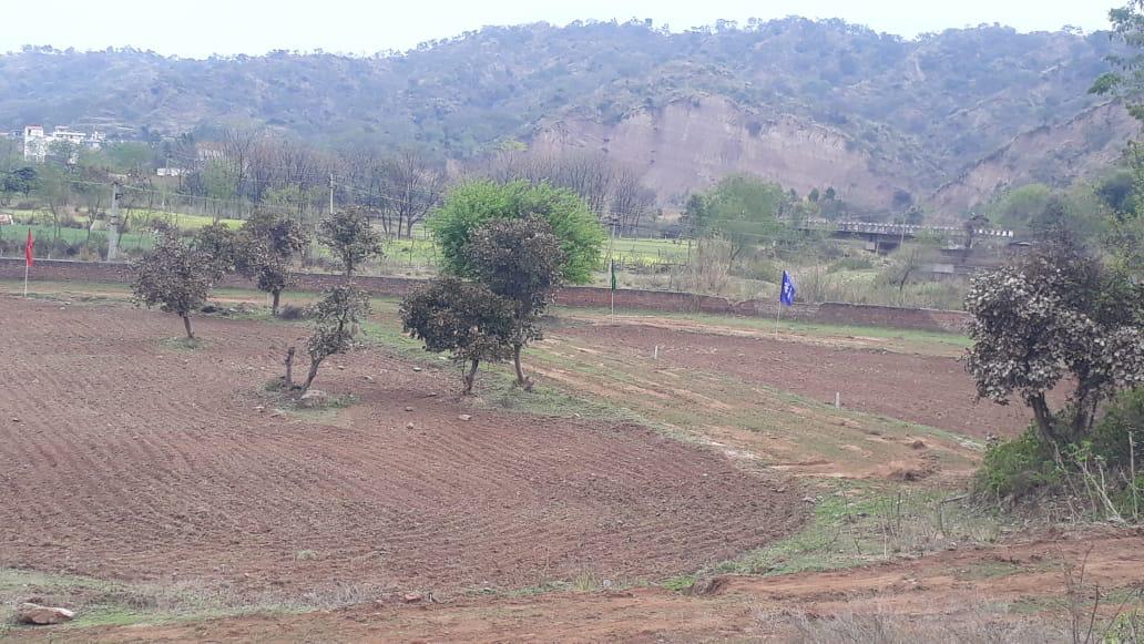 imperial golf greens nayagaon