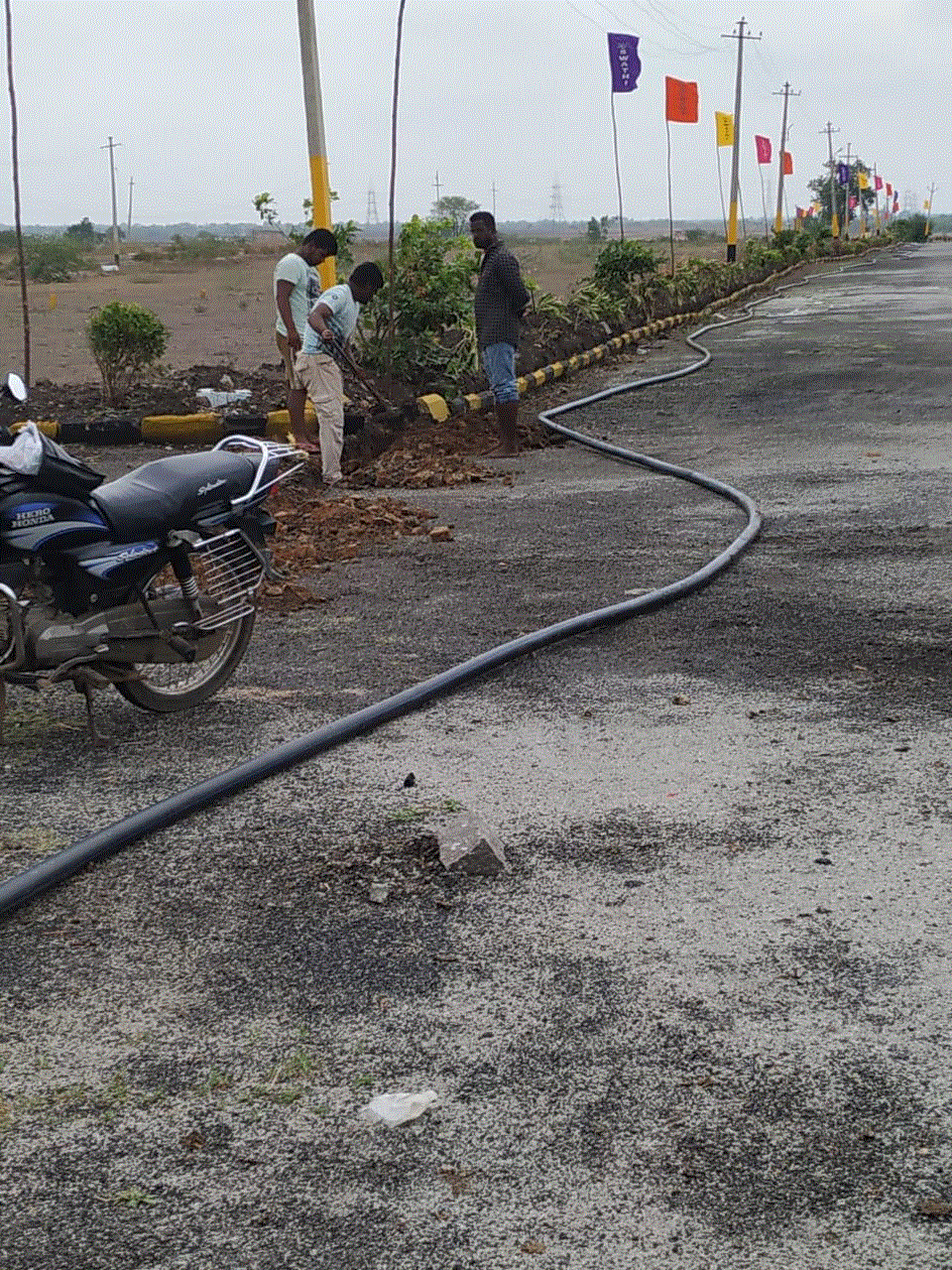 Luckie Township, Lemoor