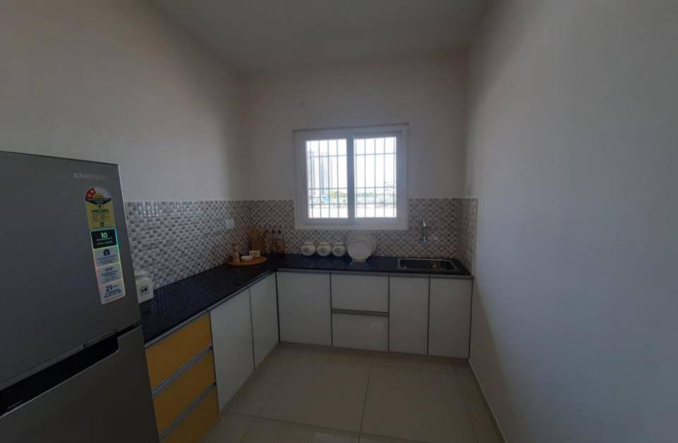 Code Name Gold Standard