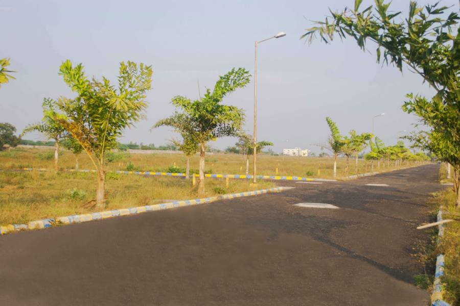 Villa Belvedere - Alliance Housing