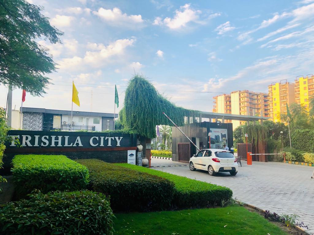 Trishla city