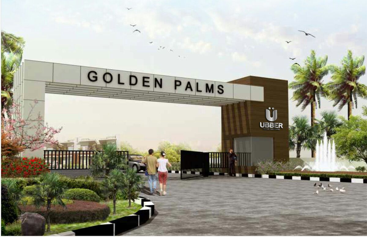 Ubber Golden Palms