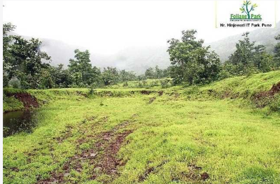 Sairung Foliage Park