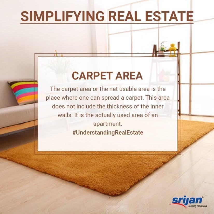 What is Carpet Area?
