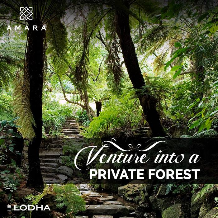 Rediscover your senses by exploring Amara's lush private forest that spans 2 acres