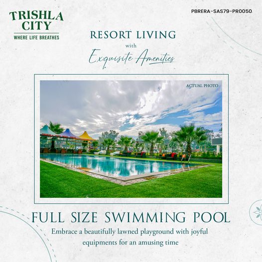 Full size swimming pool at Trishla City, Chandigarh Update