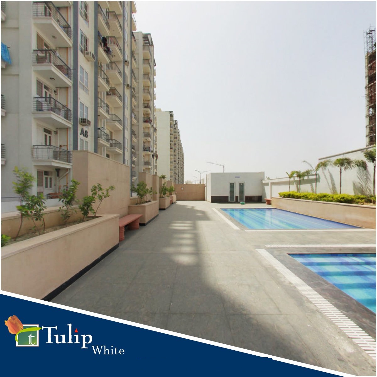 Avail 3 bhk apartments at Tulip White in Sector 69, Gurgaon