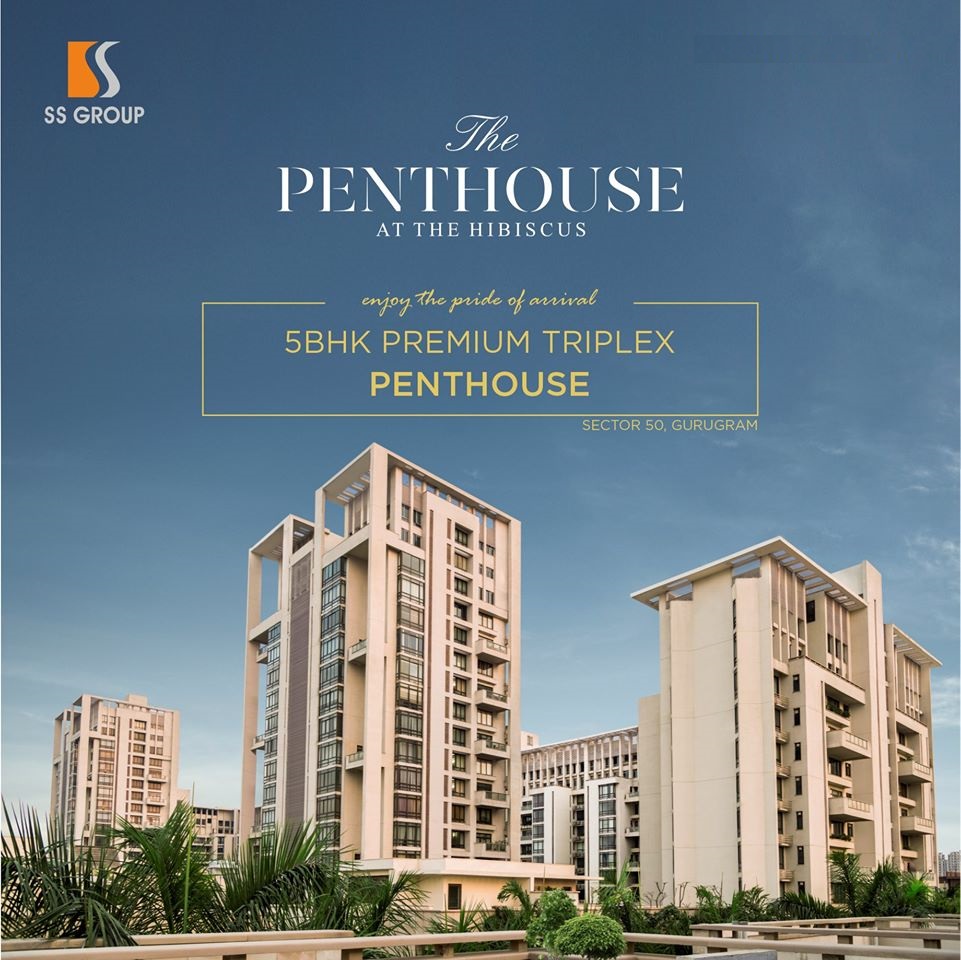 The Penthouse at SS The Hibiscus 5 BHK premium triplex penthouse in Gurgaon