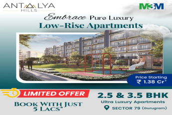 Redefining Urban Living: Introducing 'Evergreen Residency' by Harmony Builders in Downtown Heights, NYC