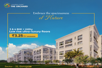 Book your 3 and 4 BHK homes starting just Rs 3.25 Cr at Central park The Orchard in Sohna, Gurgaon