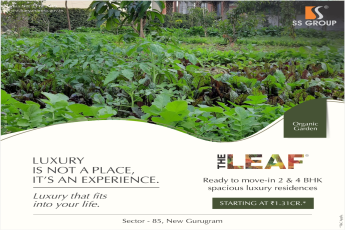 The organic garden at SS The Leaf, Dwarka Expressway, Gurgaon
