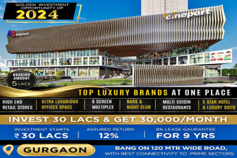 The Galleria 85 Avenue: Gurgaon's 2024 Beacon of Luxury Retail and Business