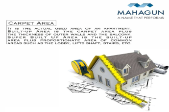 What is Carpet Area?