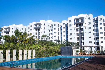 Ozone Urbana Aqua 2 is designed to let you live in the convenience of a compact home