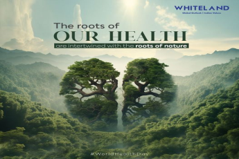 Whiteland Corporation: Embracing Wellness through Nature-Inspired Living