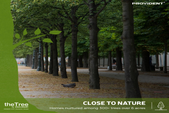 Homes nurtured amidst 300 plus trees spread over 6 acres at Provident The Tree