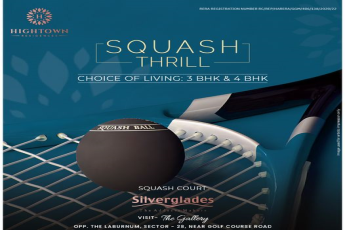 Experience the Squash Thrill at Hightown Residences by Silverglades in Sector 28, Gurugram