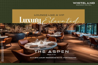 The Aspen by Whiteland: Redefining Luxury with VIP Penthouse Living