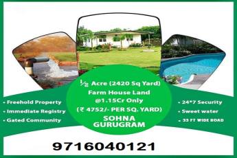 Sohna Gurugram Farmhouse Land: A Half-Acre Haven of Greenery and Peace