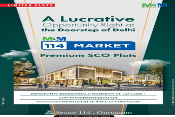 Investing in premium SCO Plots is the most valuable investment at M3M 114 Market, Gurgaon