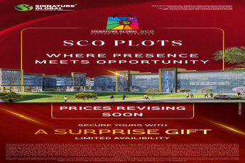 Act Now: Price Revision Alert for Signature Global SCO Plots || Unlock a Surprise Gift with Your SCO Plot || Limited Availability: Secure Your SCO Plot Today