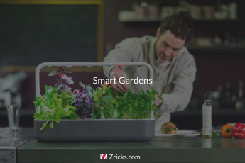 Types of Smart Gardens