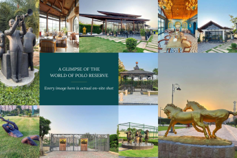 Explore Luxury Living at Polo Reserve by DLF Only at 2 Cr, Gurgaon