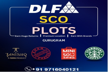 DLF Brings Exclusive SCO Plots to Gurugram: A Golden Opportunity for Investors
