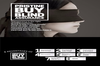 Pristine buy blind assurance and its 8 advantages