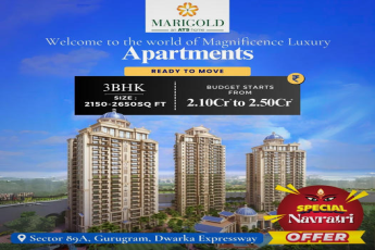 Magnificence luxury apartment at TS Marigold, Gurgaon