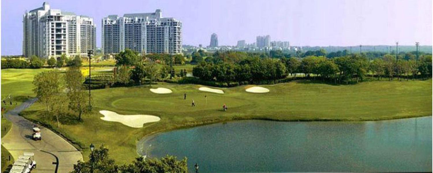 DLF The Camellias Banner